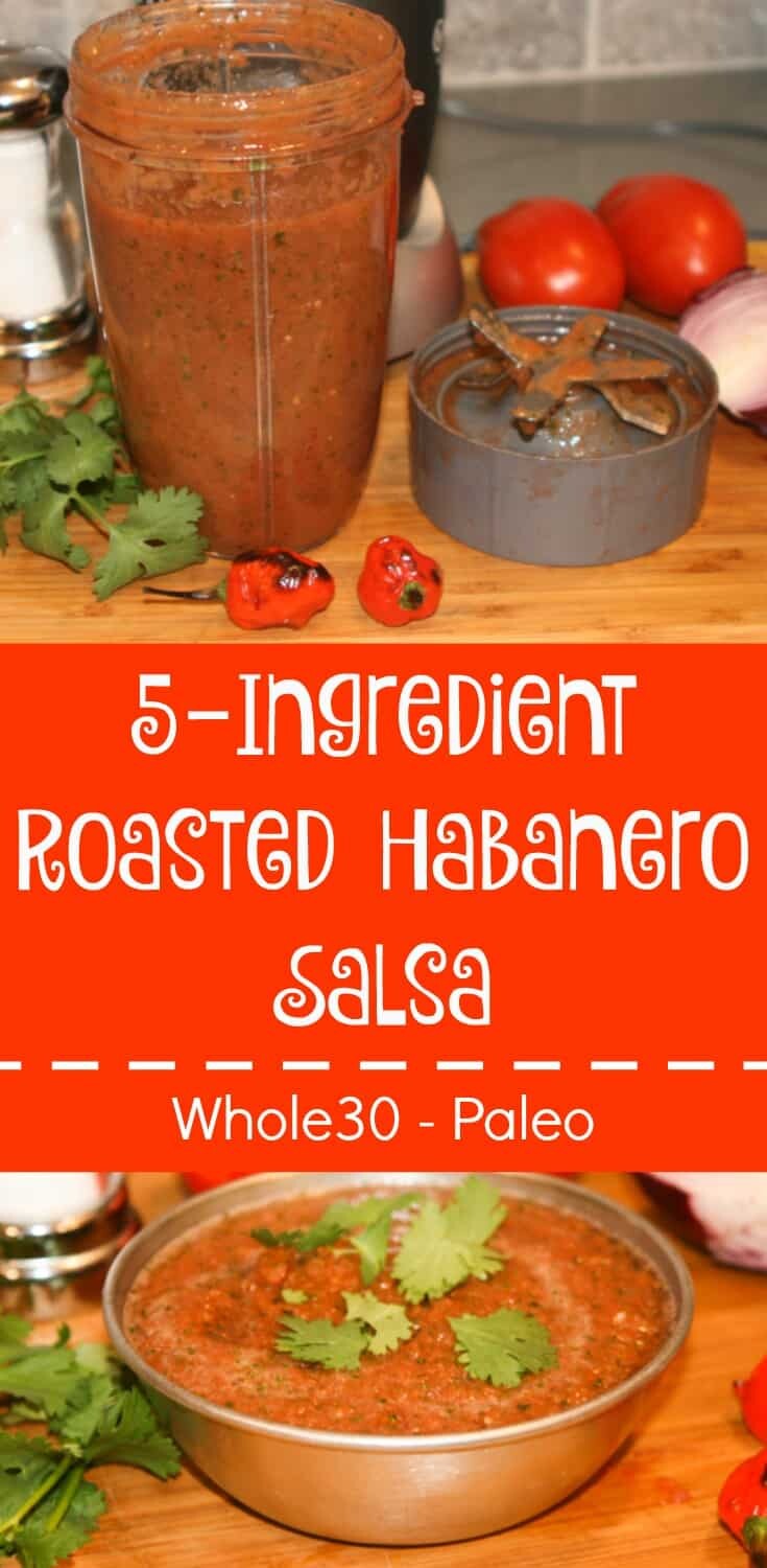 Five Ingredient Roasted Habanero Salsa