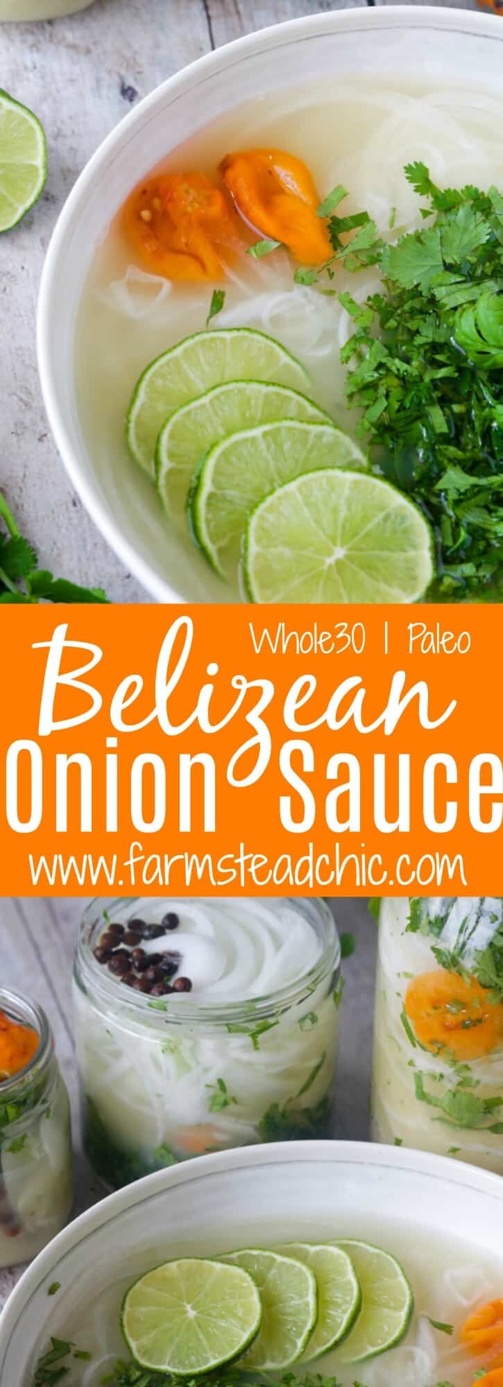 With just a few simple ingredients, this Whole30 and Paleo Belizean Onion Sauce is so easy to make and full of nutrients.  Put it on everything from taco bowls to chicken and cauliflower rice or just eat it with grain free tortilla or veggie chips!