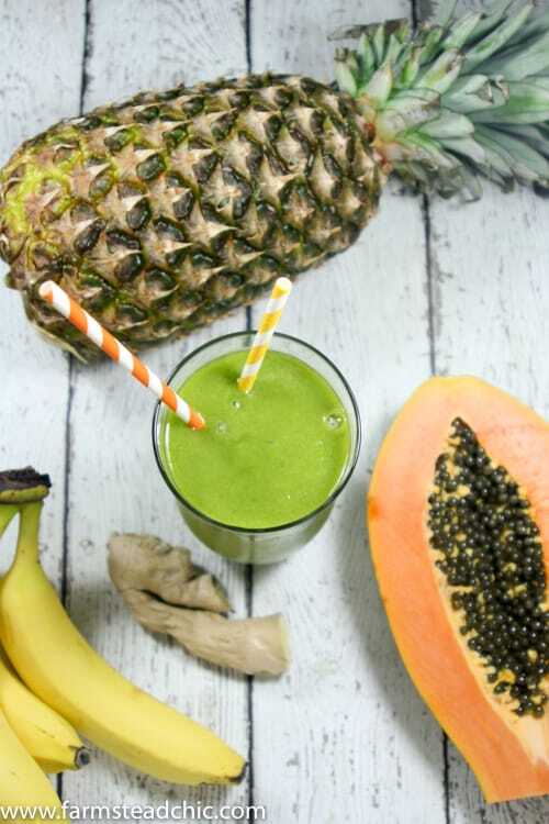 This Pineapple Papaya Green Smoothie is a true tropical treat. The pineapple and papaya make it sweet and luscious while the ginger keeps things exciting.