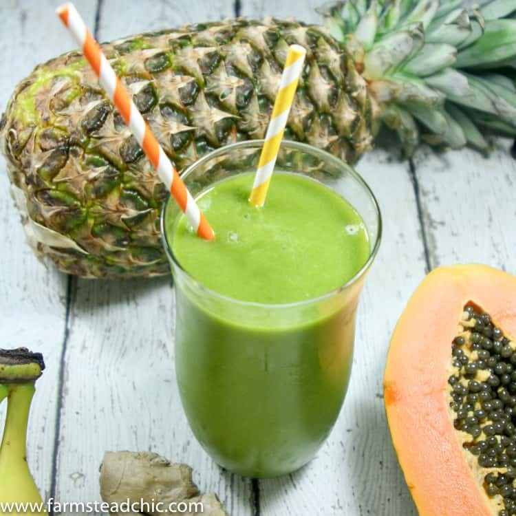 This Pineapple Papaya Green Smoothie is a true tropical treat. The pineapple and papaya make it sweet and luscious while the ginger keeps things exciting.