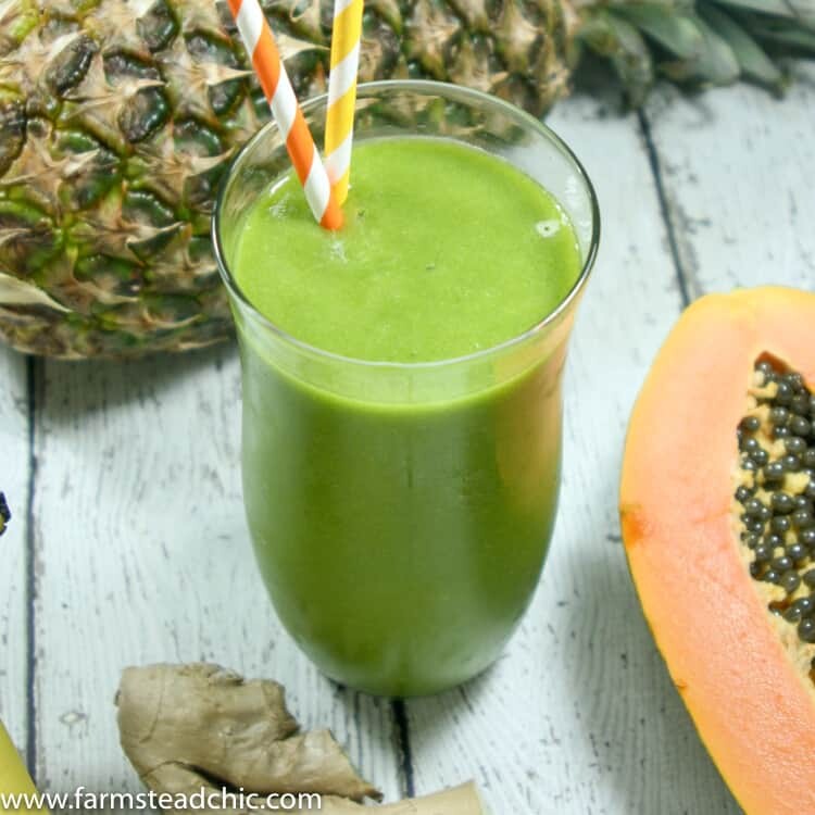 This Pineapple Papaya Green Smoothie is a true tropical treat. The pineapple and papaya make it sweet and luscious while the ginger keeps things exciting.