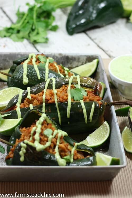 These Chipotle Lime Chicken Stuffed Poblano Peppers are a Mexican fiesta in your mouth. The spicy ground chipotle, slightly sweet + tangy lime juice and smoky poblanos create a mouthwatering combo. Did I mention they are Paleo and Whole30-compliant?