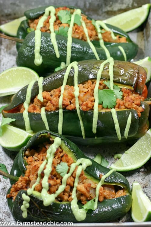 These Chipotle Lime Chicken Stuffed Poblano Peppers are a Mexican fiesta in your mouth. The spicy ground chipotle, slightly sweet + tangy lime juice and smoky poblanos create a mouthwatering combo. Did I mention they are Paleo and Whole30-compliant?