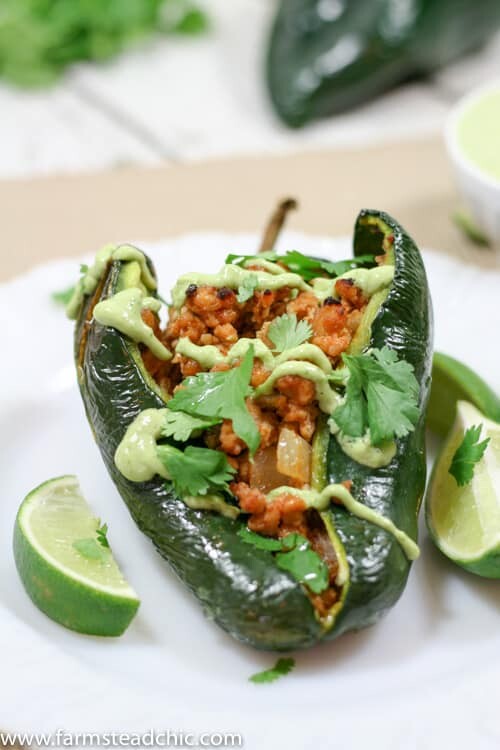 These Chipotle Lime Chicken Stuffed Poblano Peppers are a Mexican fiesta in your mouth. The spicy ground chipotle, slightly sweet + tangy lime juice and smoky poblanos create a mouthwatering combo. Did I mention they are Paleo and Whole30-compliant?