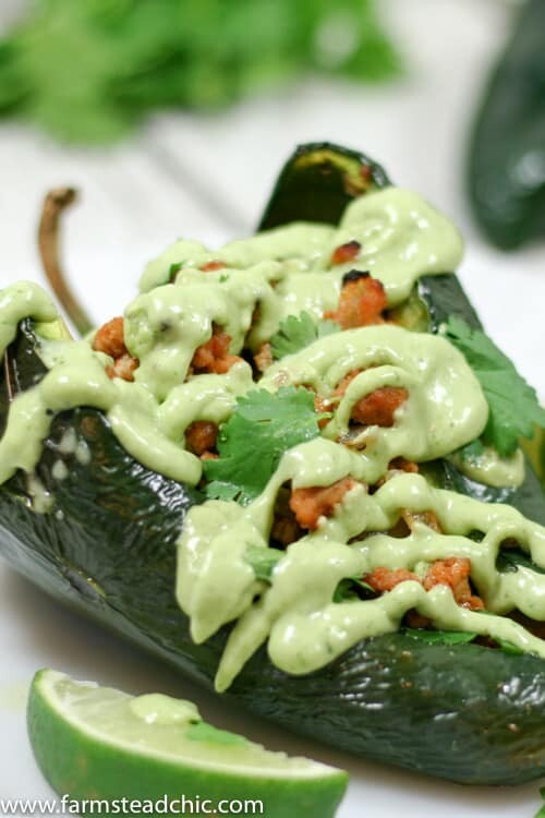 These Chipotle Lime Chicken Stuffed Poblano Peppers are a Mexican fiesta in your mouth. The spicy ground chipotle, slightly sweet + tangy lime juice and smoky poblanos create a mouthwatering combo. Did I mention they are Paleo and Whole30-compliant?