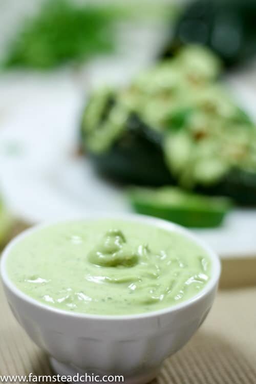 These Chipotle Lime Chicken Stuffed Poblano Peppers are a Mexican fiesta in your mouth. The spicy ground chipotle, slightly sweet + tangy lime juice and smoky poblanos create a mouthwatering combo. Did I mention they are Paleo and Whole30-compliant?