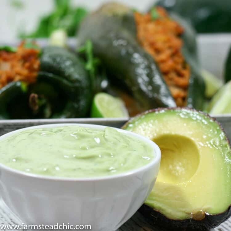 These Chipotle Lime Chicken Stuffed Poblano Peppers are a Mexican fiesta in your mouth. The spicy ground chipotle, slightly sweet + tangy lime juice and smoky poblanos create a mouthwatering combo. Did I mention they are Paleo and Whole30-compliant?