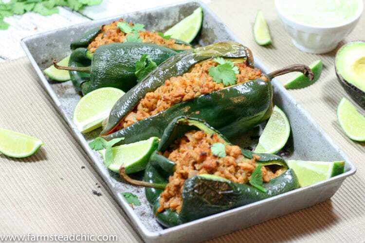 These Chipotle Lime Chicken Stuffed Poblano Peppers are a Mexican fiesta in your mouth. The spicy ground chipotle, slightly sweet + tangy lime juice and smoky poblanos create a mouthwatering combo. Did I mention they are Paleo and Whole30-compliant?