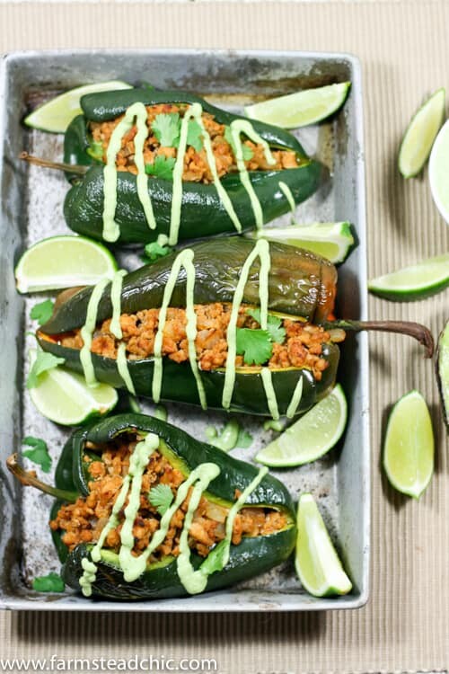 These Chipotle Lime Chicken Stuffed Poblano Peppers are a Mexican fiesta in your mouth. The spicy ground chipotle, slightly sweet + tangy lime juice and smoky poblanos create a mouthwatering combo. Did I mention they are Paleo and Whole30-compliant?