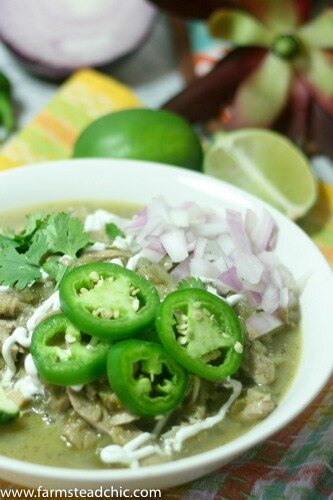 This Instant Pot Paleo and Whole30 White Chicken Chili is dairy-free and a deliciously flavorful one-pot dinner, featuring organic free-range chicken, fire-roasted chiles, sweet yellow onion, and spicy jalapeños with fresh garlic and flavorful + nutritious cumin, coriander and oregano.