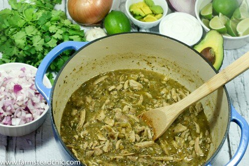 This Instant Pot Paleo and Whole30 White Chicken Chili is dairy-free and a deliciously flavorful one-pot dinner, featuring organic free-range chicken, fire-roasted chiles, sweet yellow onion, and spicy jalapeños with fresh garlic and flavorful + nutritious cumin, coriander and oregano.