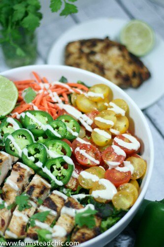 This Taco Ranch Grilled Chicken Salad combines two of summer's greatest joys: (1) grilling and (2) loads of fresh veggies. Add some Mexican spices and Ranch seasoning and ... what are you waiting for?? Whole30, Paleo, Dairy-free!