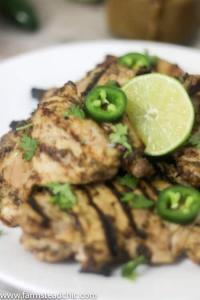 This Paleo and Whole30 Caribbean Jerk Paste is a little sweet, a little spicy and a lot healthy. Packed with tasty ingredients like mango, allspice berries, fresh ginger, thyme, scallions, dates and jalapeño, it's the perfect Jamaican jerk marinade for summer grilling!