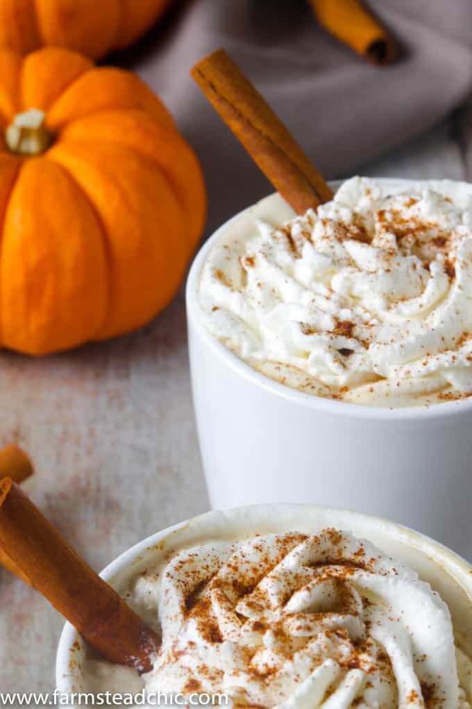 This Paleo and Whole30 Pumpkin Spice Latte needs just four ingredients and an inexpensive milk frother. In less than ten minutes, you'll have a healthy, dairy-free cup full of autumn right in your hands. If you don't have a milk frother, a blender will do just fine.