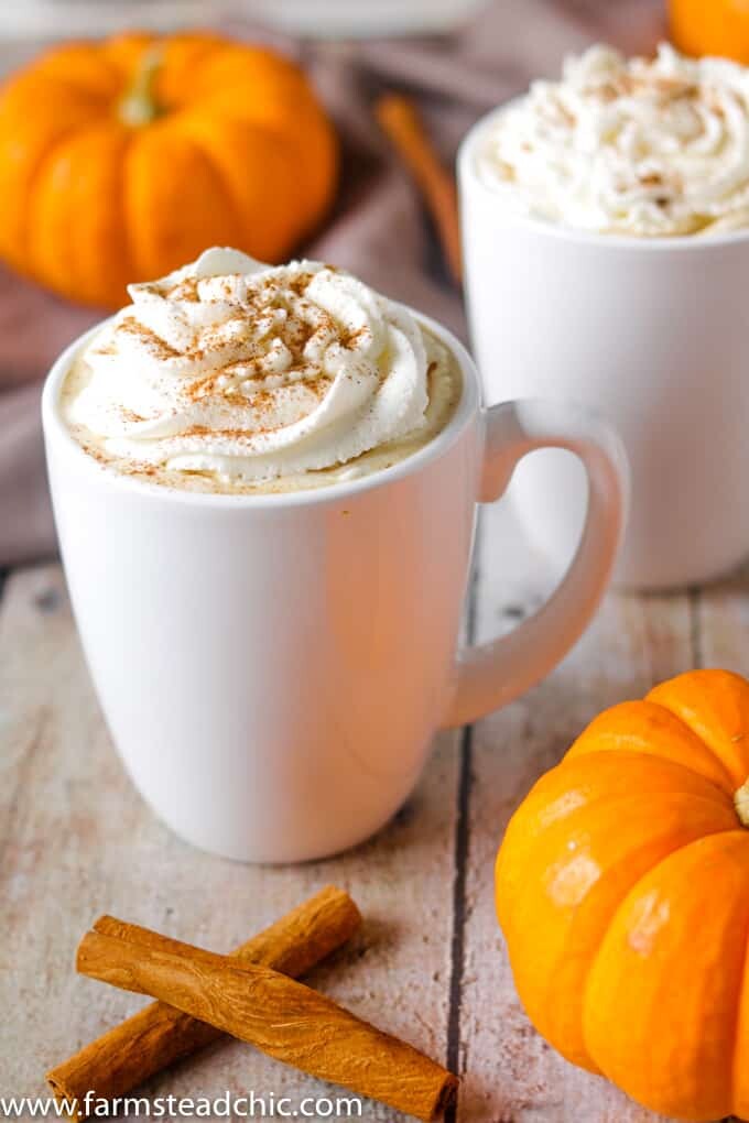 This Paleo and Whole30 Pumpkin Spice Latte needs just four ingredients and an inexpensive milk frother. In less than ten minutes, you'll have a healthy, dairy-free cup full of autumn right in your hands. If you don't have a milk frother, a blender will do just fine.