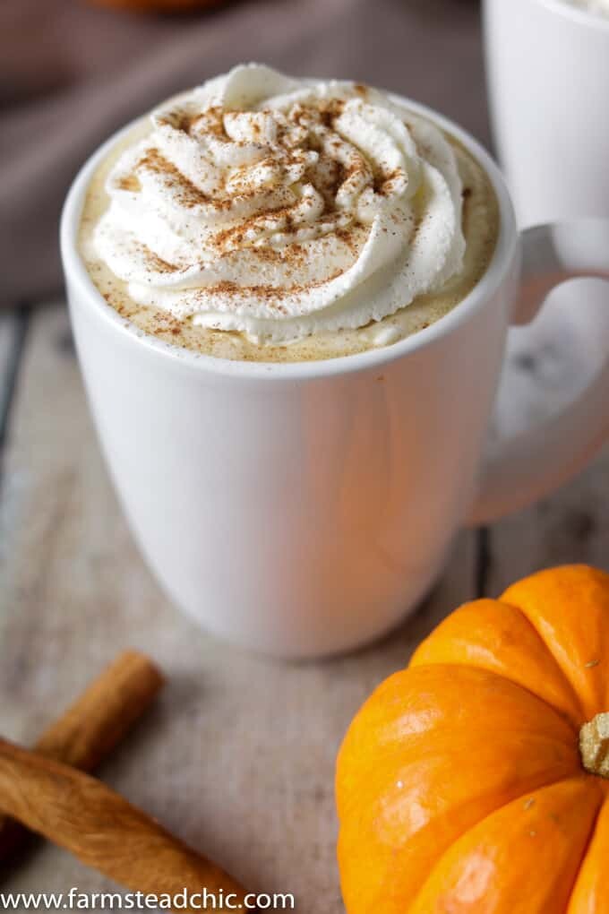 This Paleo and Whole30 Pumpkin Spice Latte needs just four ingredients and an inexpensive milk frother. In less than ten minutes, you'll have a healthy, dairy-free cup full of autumn right in your hands. If you don't have a milk frother, a blender will do just fine.