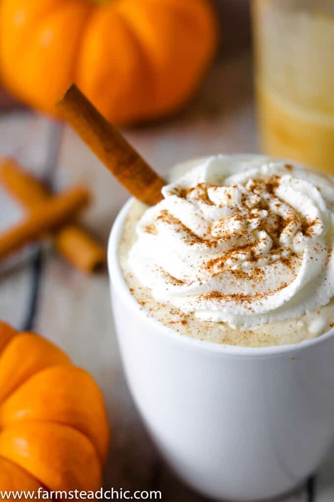 This Paleo and Whole30 Pumpkin Spice Latte needs just four ingredients and an inexpensive milk frother. In less than ten minutes, you'll have a healthy, dairy-free cup full of autumn right in your hands. If you don't have a milk frother, a blender will do just fine.