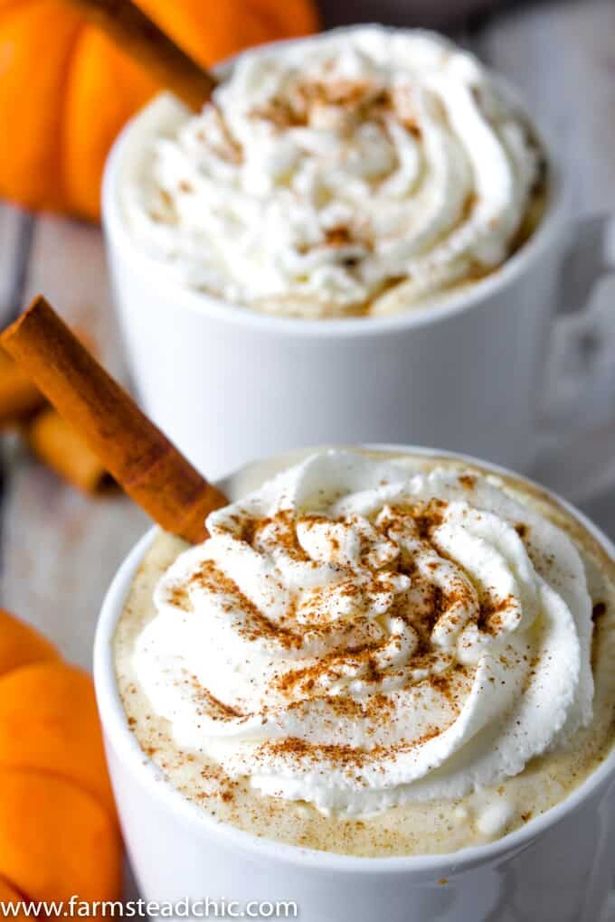 This Paleo and Whole30 Pumpkin Spice Latte needs just four ingredients and an inexpensive milk frother. In less than ten minutes, you'll have a healthy, dairy-free cup full of autumn right in your hands. If you don't have a milk frother, a blender will do just fine.