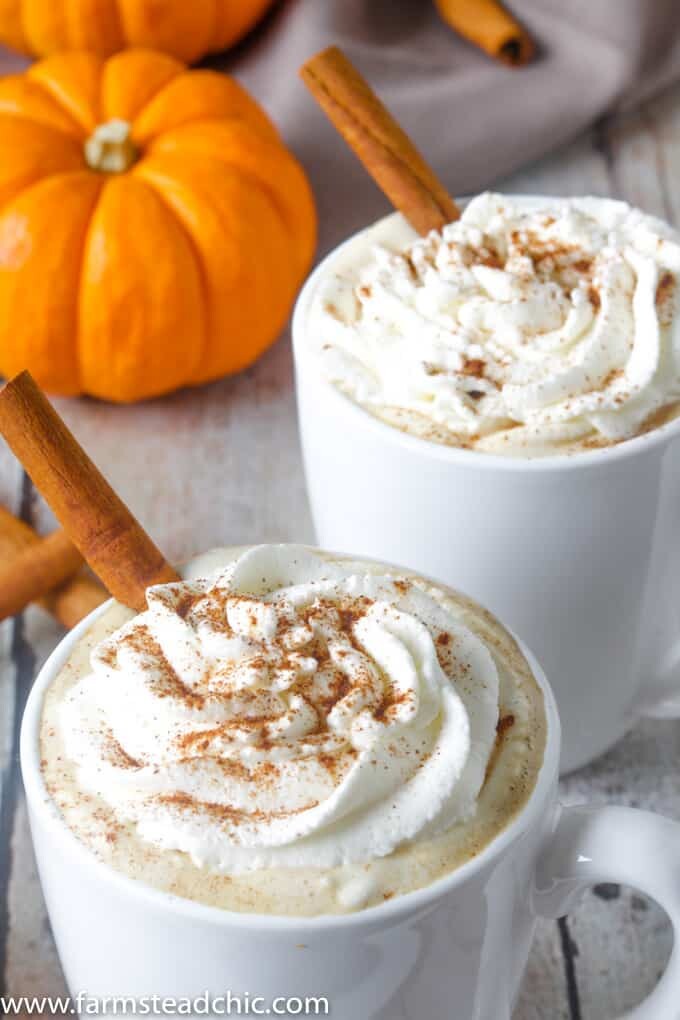 This Paleo and Whole30 Pumpkin Spice Latte needs just four ingredients and an inexpensive milk frother. In less than ten minutes, you'll have a healthy, dairy-free cup full of autumn right in your hands. If you don't have a milk frother, a blender will do just fine.