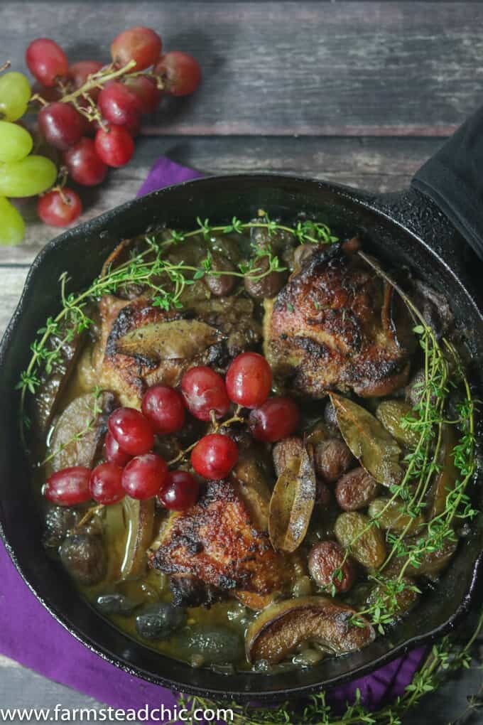 This Paleo and Whole30 Chicken Thighs with Roasted Apples and Grapes is a quick and easy one-skillet wonder perfect for a chilly autumn weeknight.