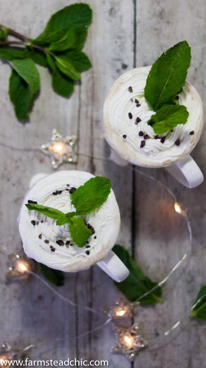 This Paleo and Whole30 Peppermint Mocha Latte is Christmas in a cup. You only need four ingredients for this healthy, vegan, dairy-free holiday treat.