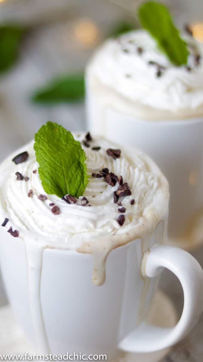 This Paleo and Whole30 Peppermint Mocha Latte is Christmas in a cup. You only need four ingredients for this healthy, vegan, dairy-free holiday treat.