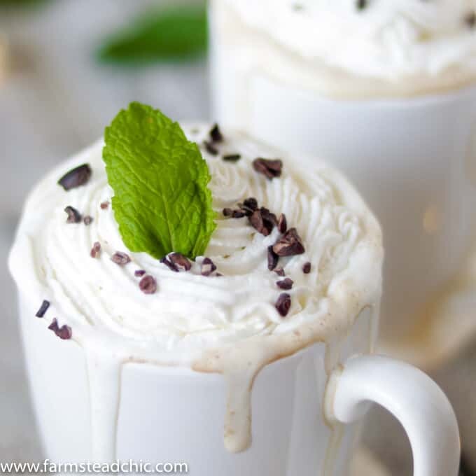 This Paleo and Whole30 Peppermint Mocha Latte is Christmas in a cup. You only need four ingredients for this healthy, vegan, dairy-free holiday treat.