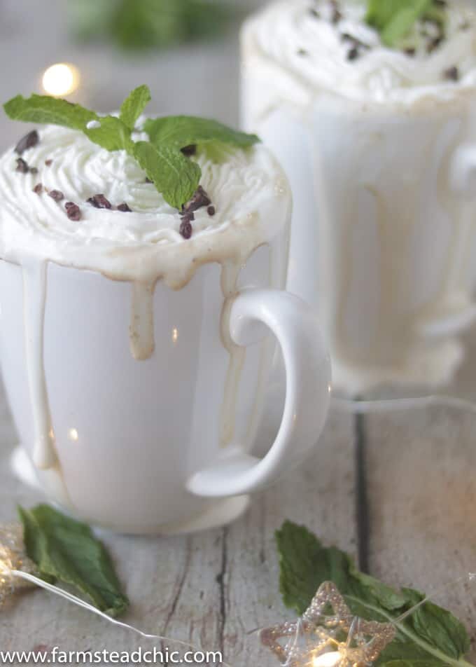 This Paleo and Whole30 Peppermint Mocha Latte is Christmas in a cup. You only need four ingredients for this healthy, vegan, dairy-free holiday treat.