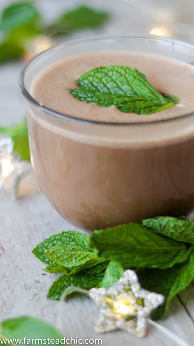 This Paleo and Whole30 Peppermint Mocha Latte is Christmas in a cup. You only need four ingredients for this healthy, vegan, dairy-free holiday treat.