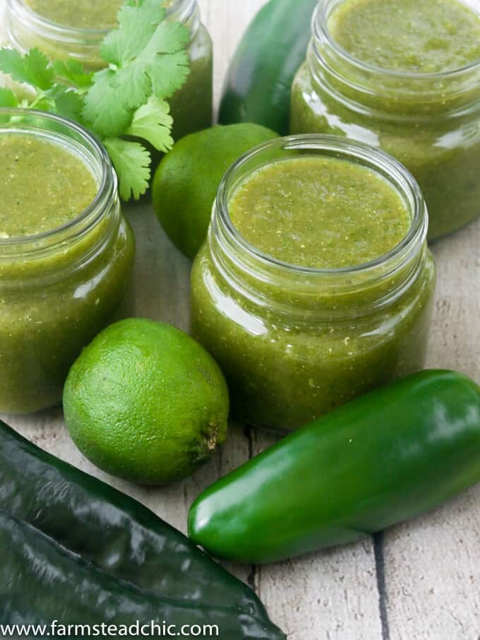 You'll love this Paleo and Whole30 Roasted Poblano Sauce. The roasted poblanos are super smoky, and the jalapeños give it just the right kick. Cilantro and lime juice balance out the smoke and spice, making this sauce perfect for drizzling on all the things! Vegan, vegetarian and dairy free.