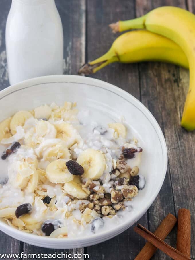 With bananas, walnuts and cranberries with a sprinkling of cinnamon, these Paleo Breakfast Bowls are cool, creamy, crunchy, grain-free, gluten-free, dairy-free just plain delicious. . Craving a bowl of cereal? You need these! (Whole30 Compliant Ingredients) Vegetarian and Vegan + full of protein and healthy fats.