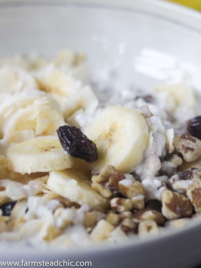 With bananas, walnuts and cranberries with a sprinkling of cinnamon, these Paleo Breakfast Bowls are cool, creamy, crunchy, grain-free, gluten-free, dairy-free just plain delicious. . Craving a bowl of cereal? You need these! (Whole30 Compliant Ingredients) Vegetarian and Vegan + full of protein and healthy fats.