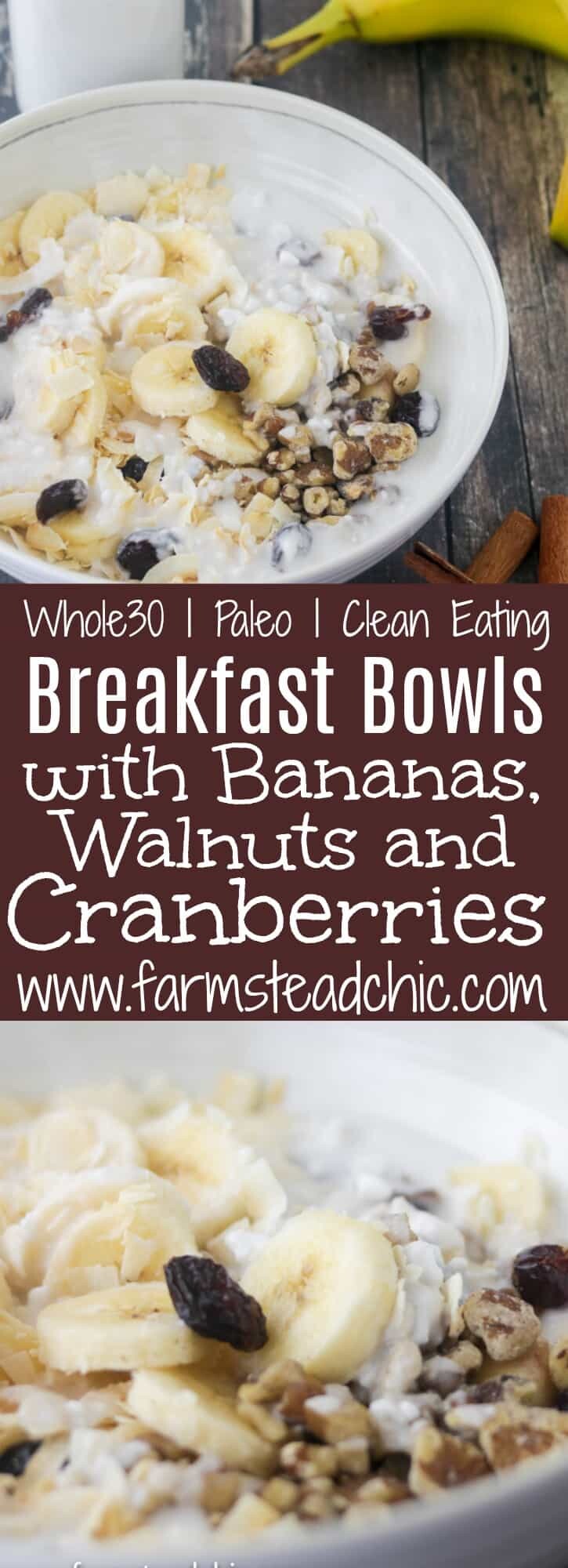 With bananas, walnuts and cranberries with a sprinkling of cinnamon, these Paleo Breakfast Bowls are cool, creamy, crunchy, grain-free, gluten-free, dairy-free just plain delicious. . Craving a bowl of cereal? You need these! (Whole30 Compliant Ingredients) Vegetarian and Vegan + full of protein and healthy fats.