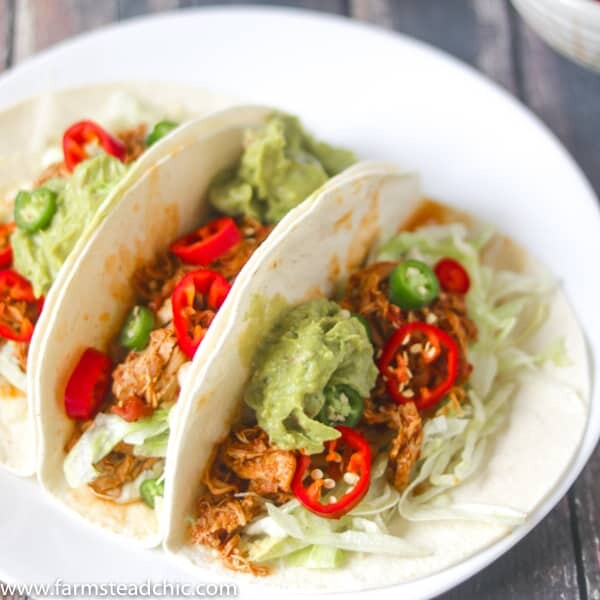 This Paleo and Whole30 Instant Pot Taco Chicken is packed full of flavor with fresh red Anaheim and Serrano peppers along with chili powder and chipotle powder. Coriander, cumin and garlic and onion bring everything into balance and pack a nutritional punch as well. Low carb, Keto-friendly, gluten free, grain free, dairy free.